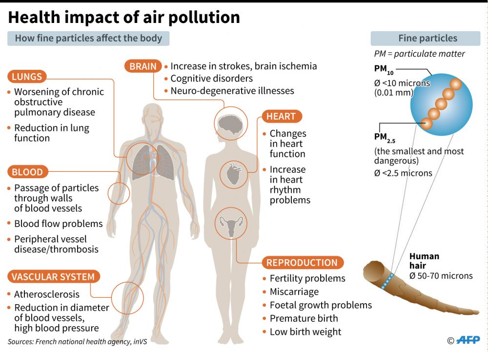 Impact Of Air Pollution On Human Health 6008