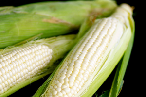 White-corn