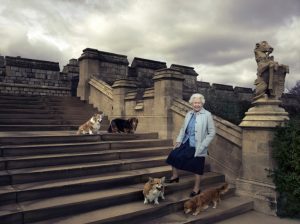 This handout portrait picture taken by US photographer Annie Leibovitz shows Queen Elizabeth II (C) posing on the steps of the east terrace with four of her dogs (top L-R) Willow, Vulcan, (bottom L-R) Holly and Candy in the garden of Windsor Castle in Windsor. This picture is one of three official photographs released by Buckingham Palace to mark Queen Elizabeth II's 90th birthday. / AFP PHOTO / ANNIE LEIBOVITZ 