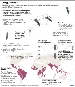 AFP Graphics Document reference001_9B8RP SLUGVACCINE - HEALTH - DENGUE - PHILIPPINES Creation date4/4/2016 CountryPHILIPPINES CreditADRIAN LEUNG / AFP File size/pixels/dpi135mm x 156mm Factfile on dengue fever.  (Courtesy AFP)