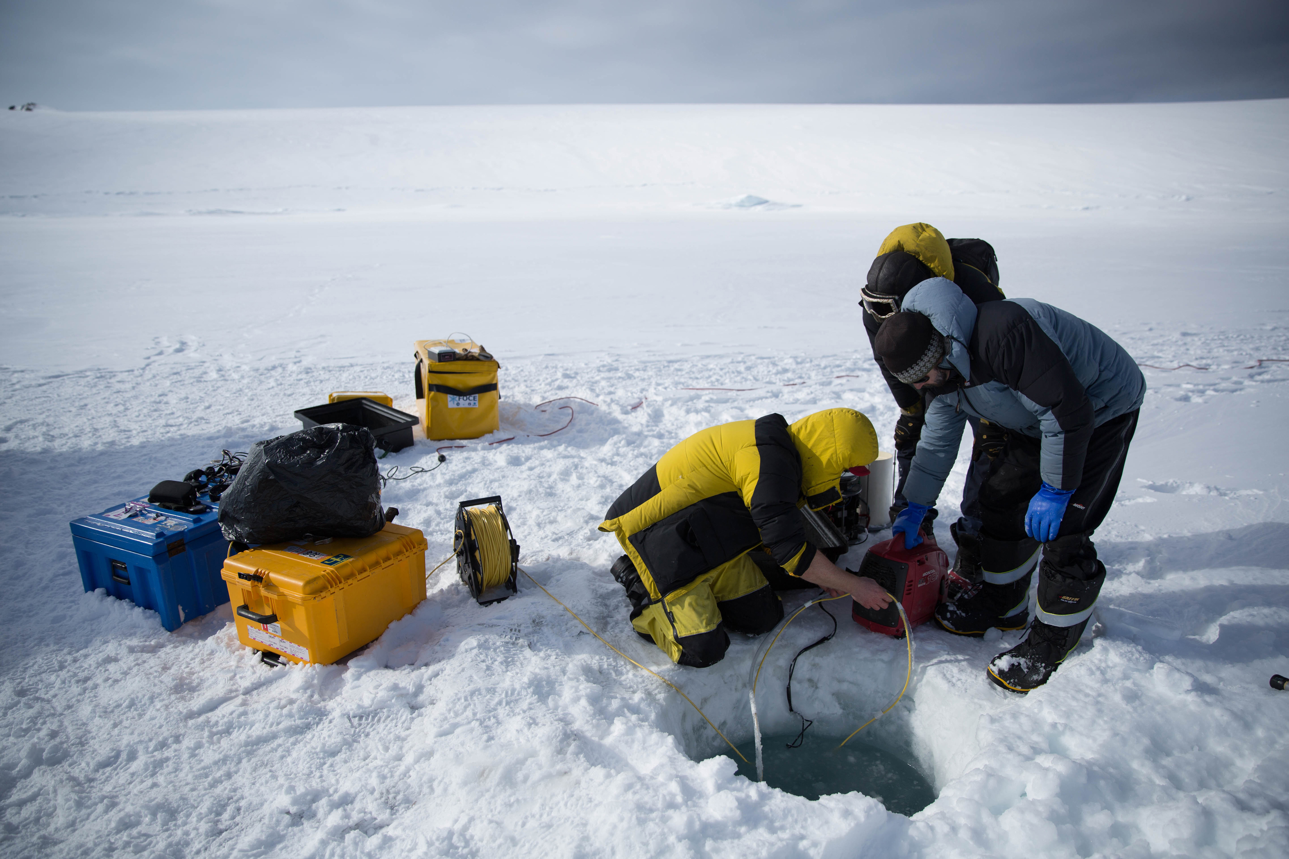 This undated handout photo received from the Australian Antarctic Division (AAD) on December 21, 2016 show scientists operating a remote underwater camera through a hole in the ice at O'Brien Bay near Australia's Antarctic Casey research station. The Australian Antarctic Division (AAD) took footage on a camera attached to a Remotely Operated Vehicle sent down by scientists through a small hole drilled in the ice as they recorded the acidity, oxygen, salinity and temperature of the seawater. / AFP PHOTO / AUSTRALIAN ANTARCTIC DIVISION / Dominic HALL / --EDITORS NOTE --- ONE TIME USE --RESTRICTED TO EDITORIAL USE -- MANDATORY CREDIT "AFP PHOTO  / DOMINIC HALL / AUSTRALIAN ANTARCTIC DIVISION" -- NO MARKETING NO ADVERTISING CAMPAIGNS - DISTRIBUTED AS A SERVICE TO CLIENTS - NO ARCHIVES -- TO BE USED EXCLUSIVELY WITH AFP STORY AUSTRALIA-ANTARCTICA-ENVIRONMENT-CONSERVATION /