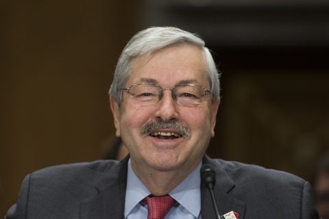 Iowa Governor Terry Branstad testifies before the Senate Foreign Relations Committee on his nomination to be ambassador to China, on Capitol Hil,l in Washington, DC, on May 2, 2017. / AFP PHOTO / JIM WATSON