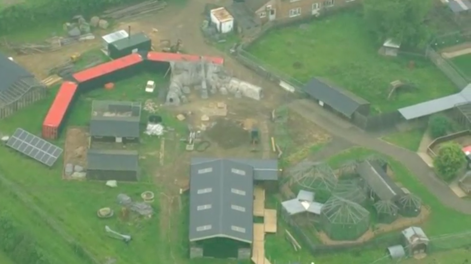 A female zoo-keeper died in a "freak accident" in a British zoo on Monday (May 29) after a tiger entered an enclosure, the BBC reported. Photo grabbed from Reuters video file.