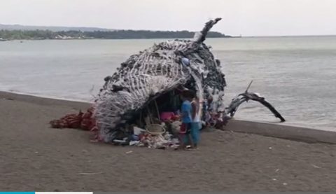 A dead whale sculpture made from plastic waste was put up by the group Greenpeace on a shore in Naic, Cavite.    This was to raise awareness against the danger of dumping waste in the seas.  (Photo grabbed from Reuters video)