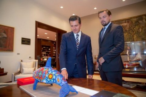 Handout image released by the Mexican Presidency's press office showing Mexican President Enrique Pena Nieto (L) and US actor Leonardo Di Caprio (R) during a meeting about the danger of extinction of the vaquita porpoise (Phocoena sinus) in Mexico City on June 7, 2017. PRESIDENCIA / AFP PHOTO / presidencia / HO / RESTRICTED TO EDITORIAL USE - MANDATORY CREDIT "AFP PHOTO /PRESIDENCIA" - NO MARKETING NO ADVERTISING CAMPAIGNS - DISTRIBUTED AS A SERVICE TO CLIENTS