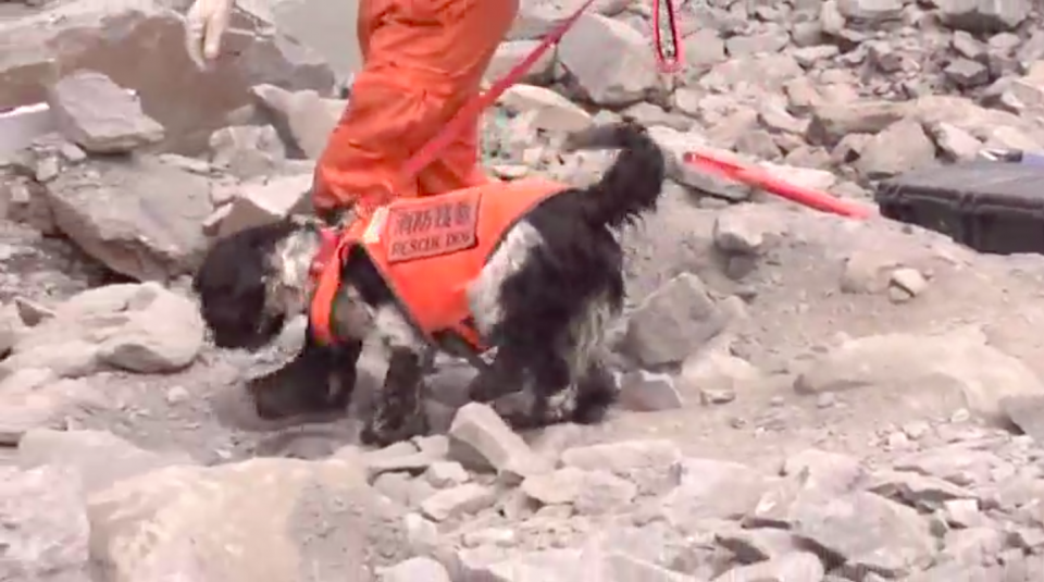 More than 2,500 professional rescuers and 25 sniffer dogs are working against time to search for 93 persons still missing in a landslide in southwest China's Sichuan Province. Photo grabbed from Reuters video file.