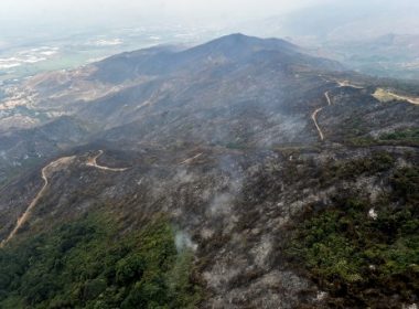 patch of amazon forest on a mountain side severely burned